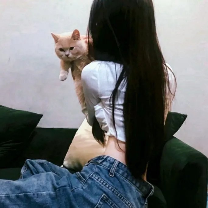 小马王