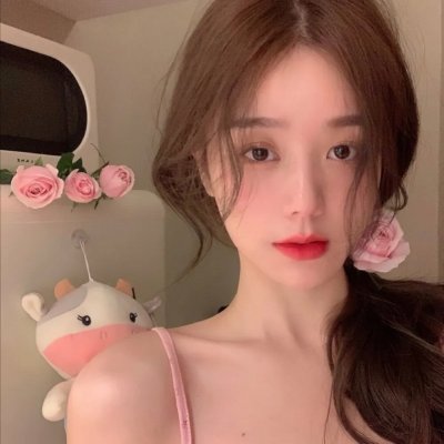 最后的狮子